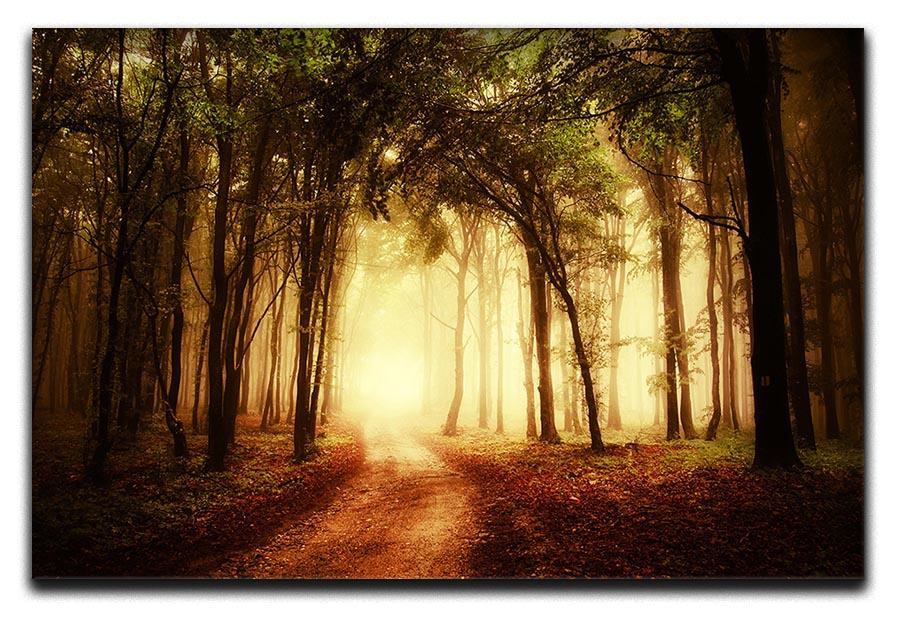 golden forest at autumn Canvas Print or Poster  - Canvas Art Rocks - 1
