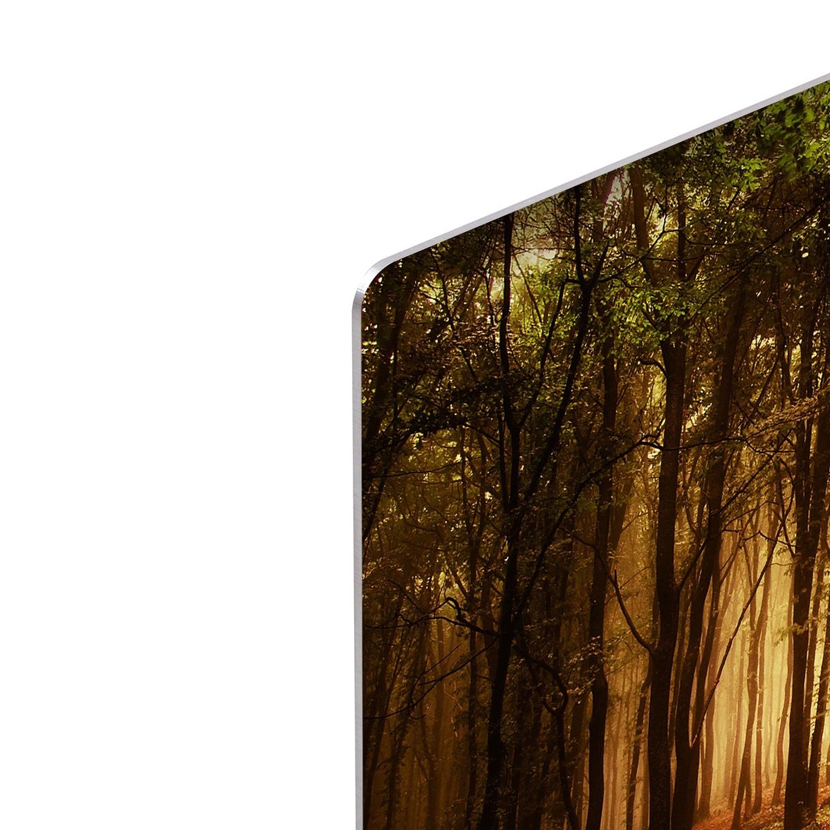 golden forest at autumn HD Metal Print