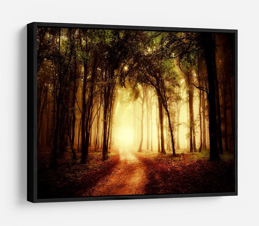 golden forest at autumn HD Metal Print
