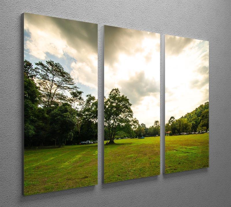 grass and bigtree in the forrest 3 Split Panel Canvas Print - Canvas Art Rocks - 2