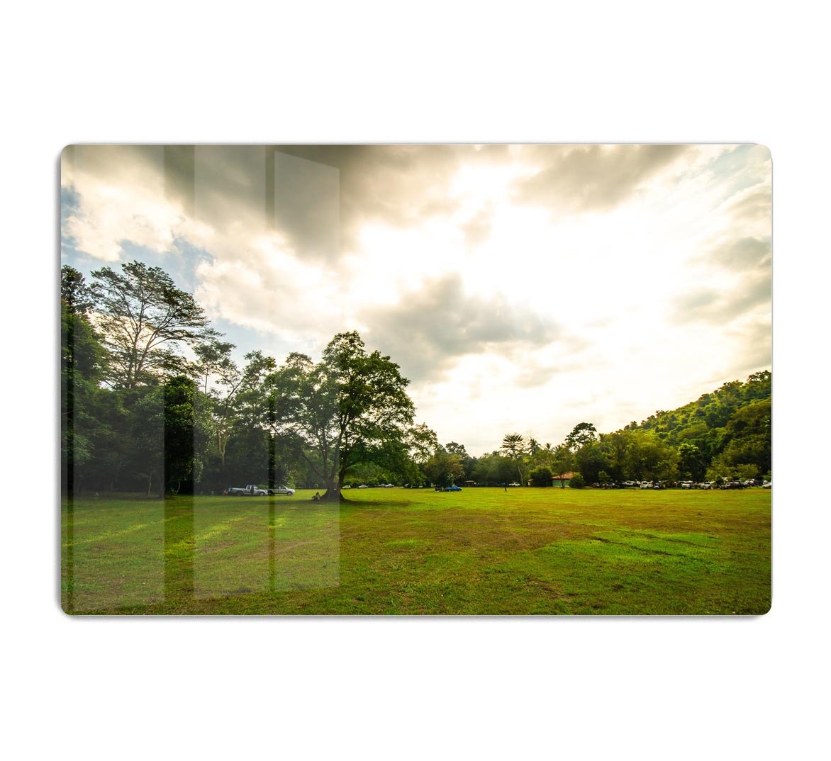 grass and bigtree in the forrest HD Metal Print