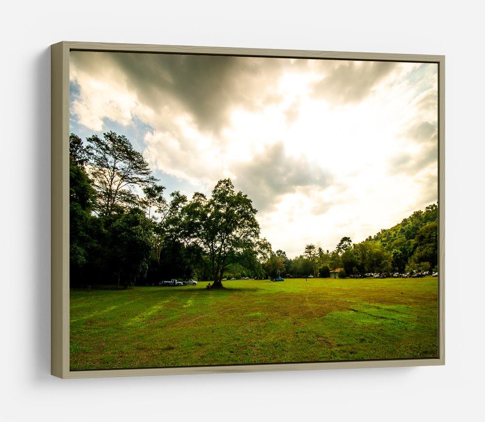 grass and bigtree in the forrest HD Metal Print