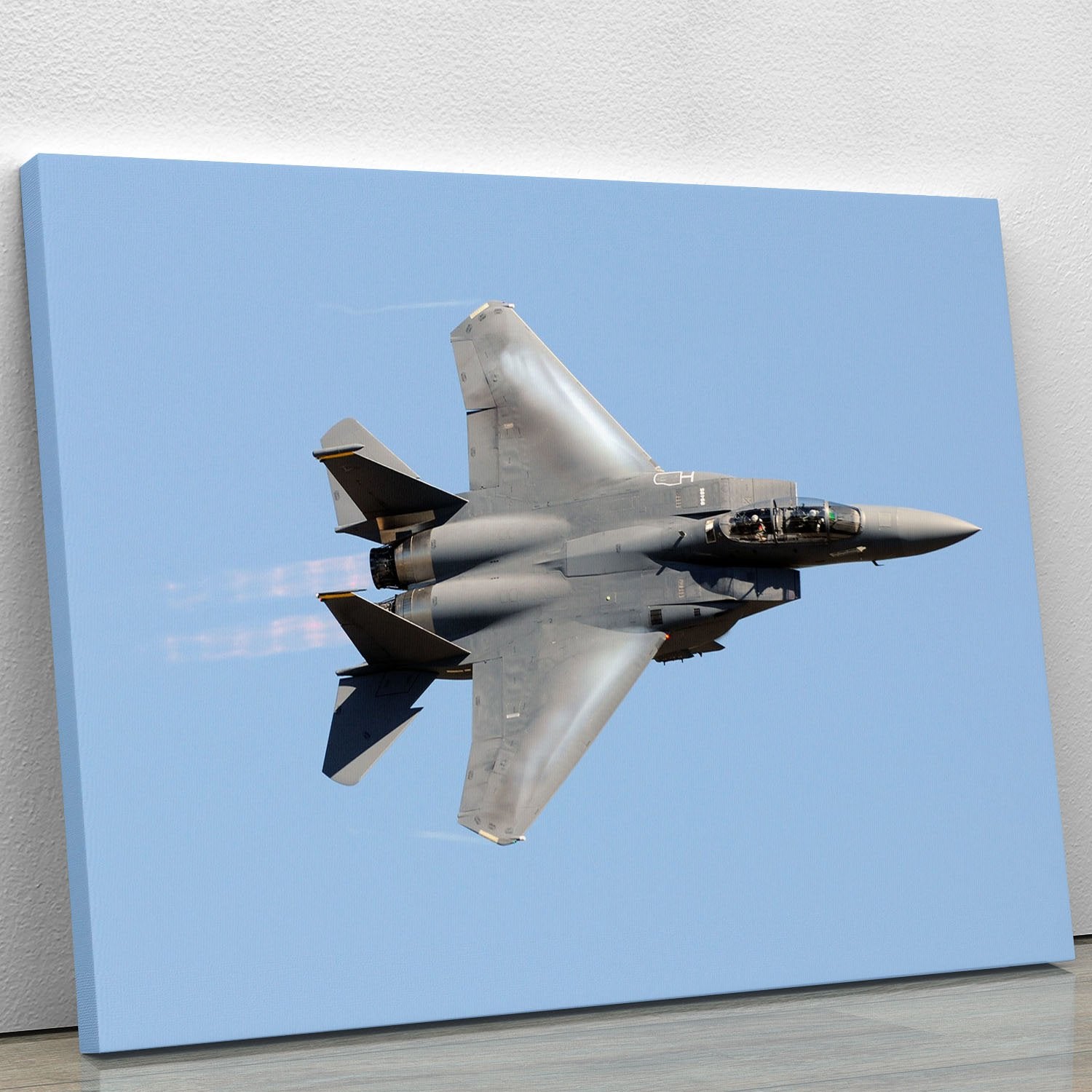 jet at high speed Canvas Print or Poster