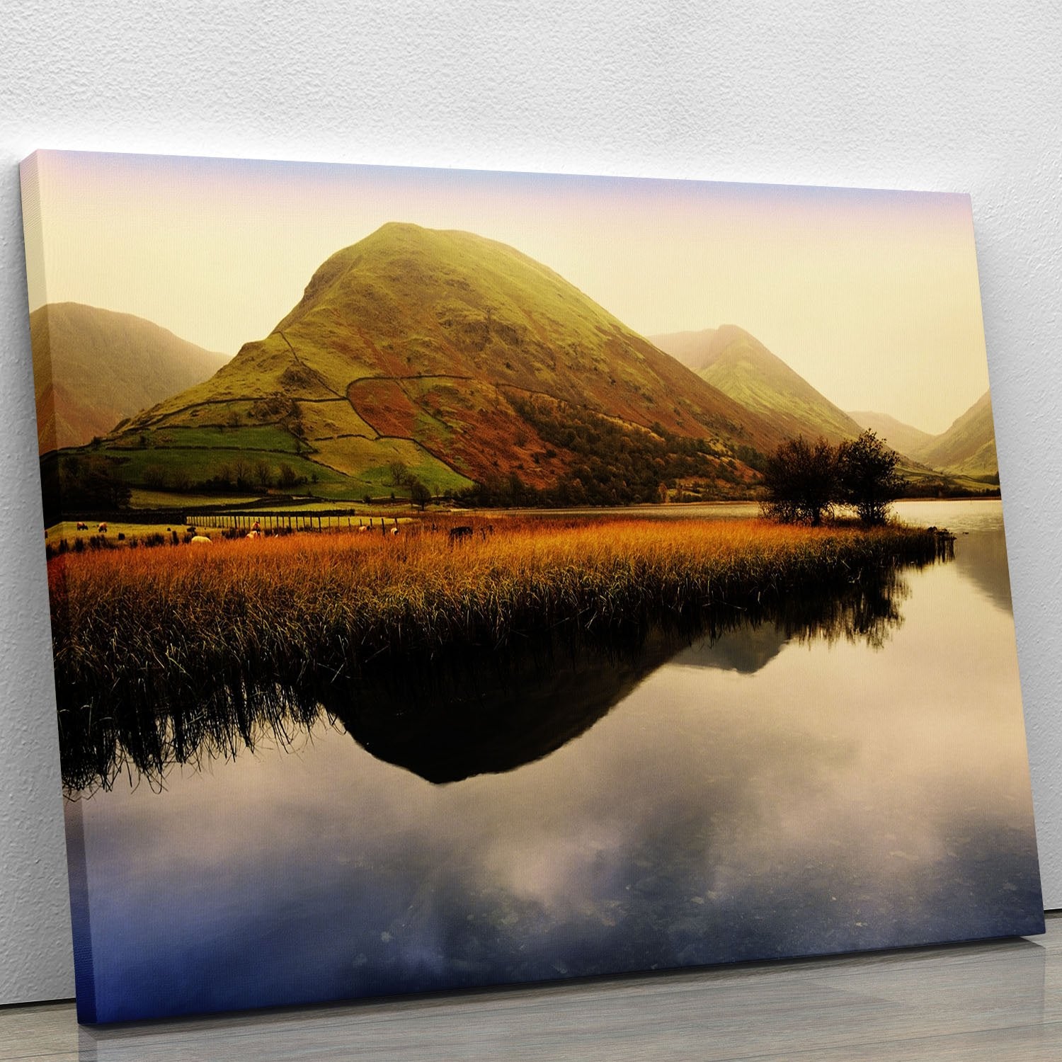 lake district Canvas Print or Poster