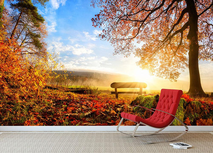 landscape with the sun warmly illumining Wall Mural Wallpaper