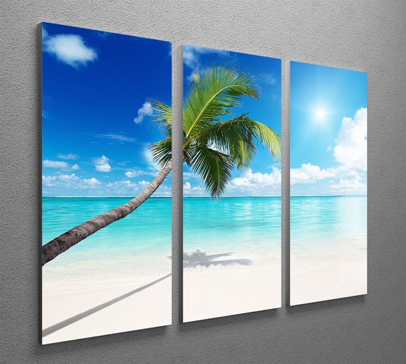 palm and beach 3 Split Panel Canvas Print - Canvas Art Rocks - 2