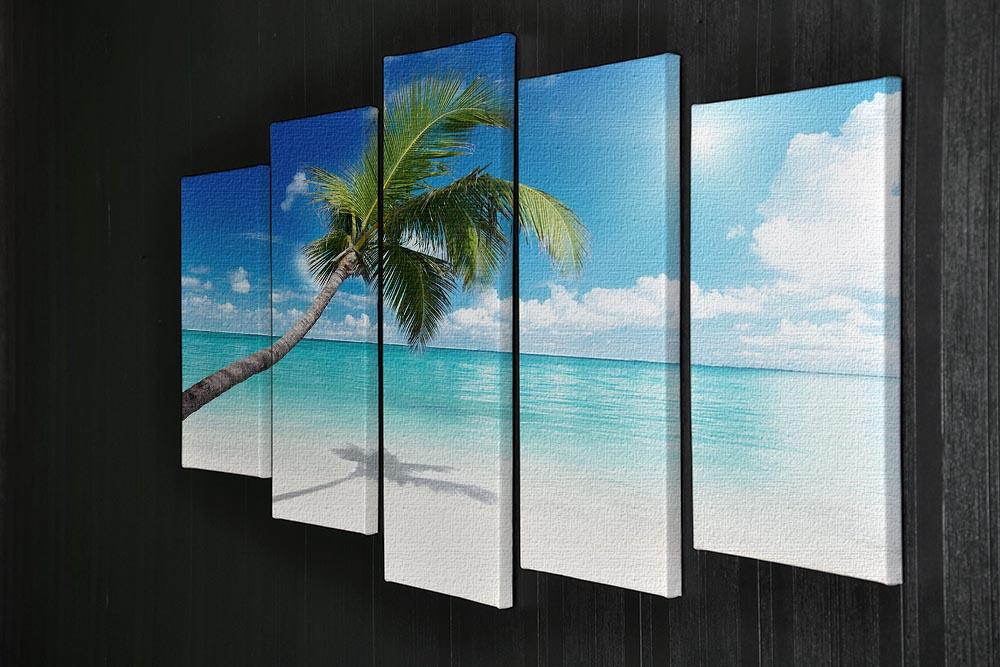 palm and beach 5 Split Panel Canvas - Canvas Art Rocks - 2