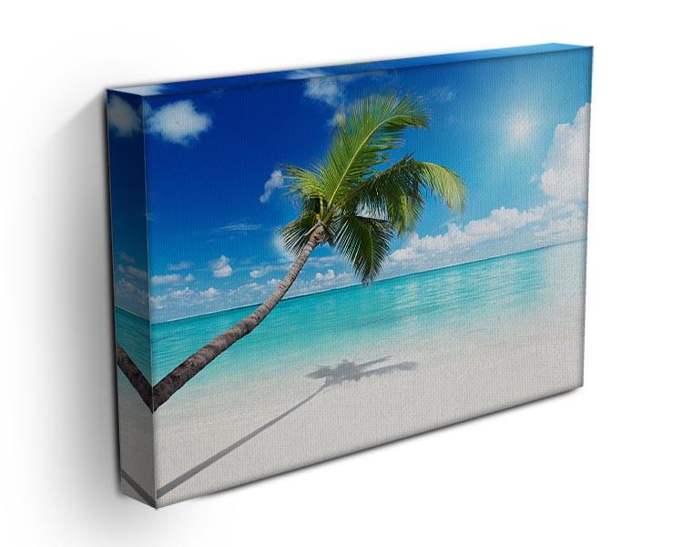 palm and beach Canvas Print or Poster - Canvas Art Rocks - 3