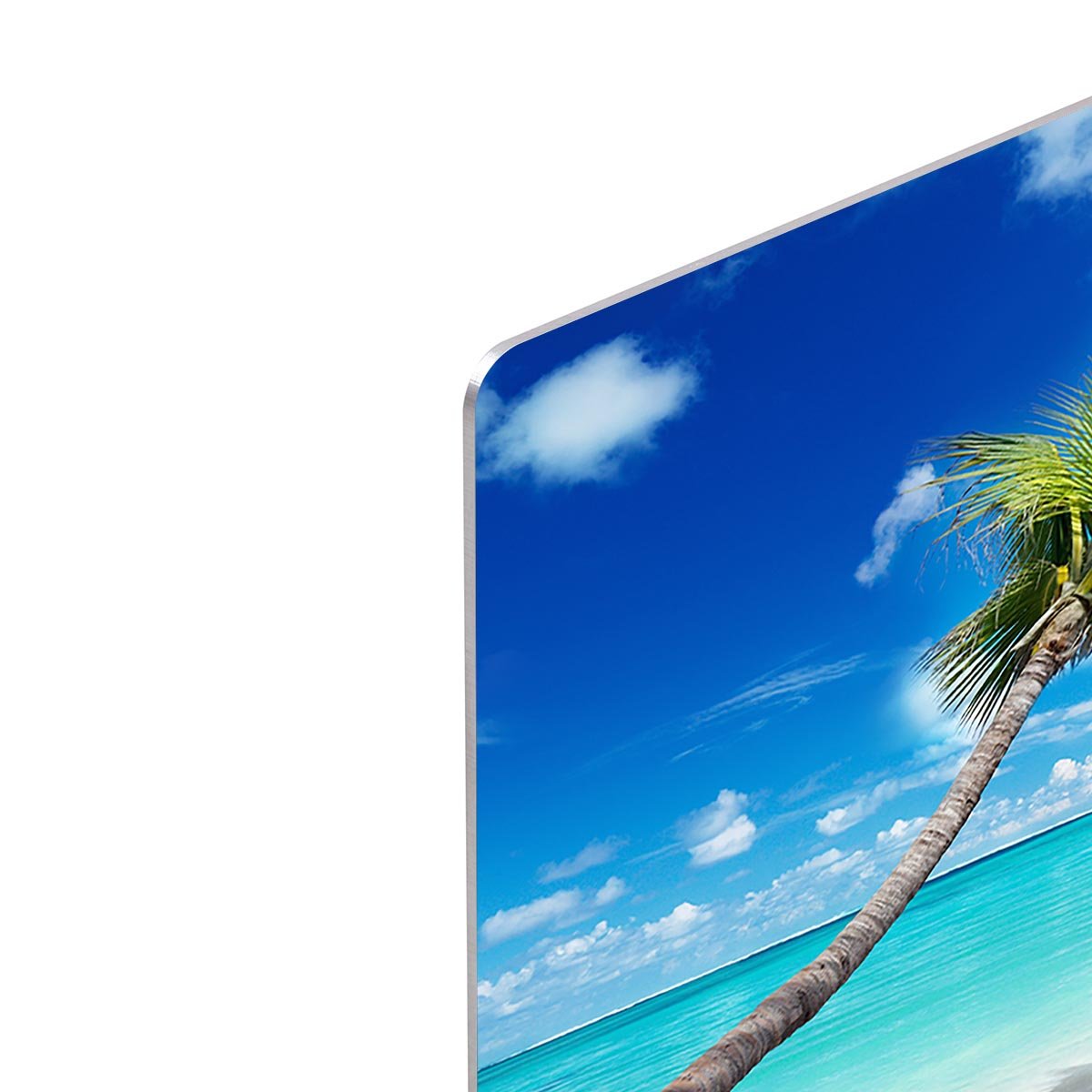 palm and beach HD Metal Print - Canvas Art Rocks - 4