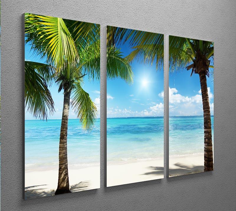 palms and beach 3 Split Panel Canvas Print - Canvas Art Rocks - 2