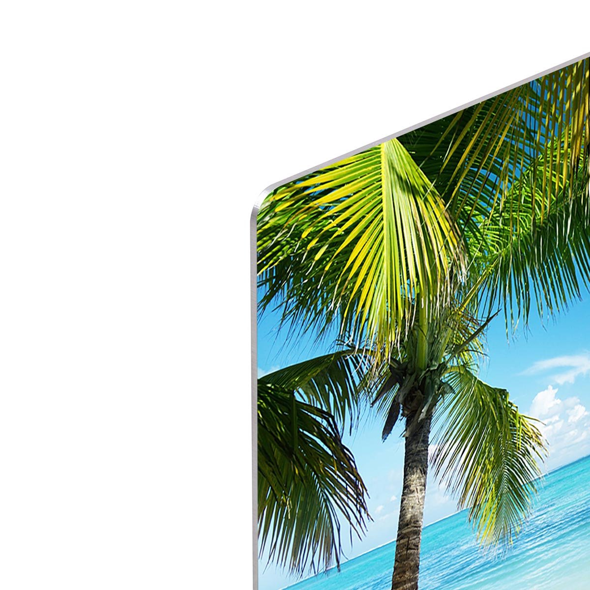 palms and beach HD Metal Print - Canvas Art Rocks - 4