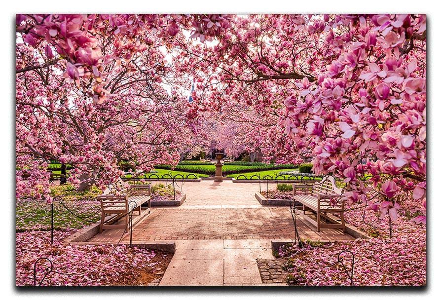 spring foliage near the National Mall Canvas Print or Poster  - Canvas Art Rocks - 1