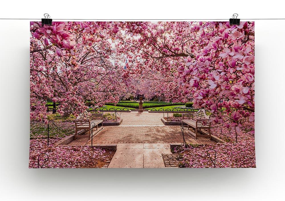 spring foliage near the National Mall Canvas Print or Poster - Canvas Art Rocks - 2