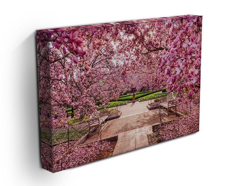 spring foliage near the National Mall Canvas Print or Poster - Canvas Art Rocks - 3