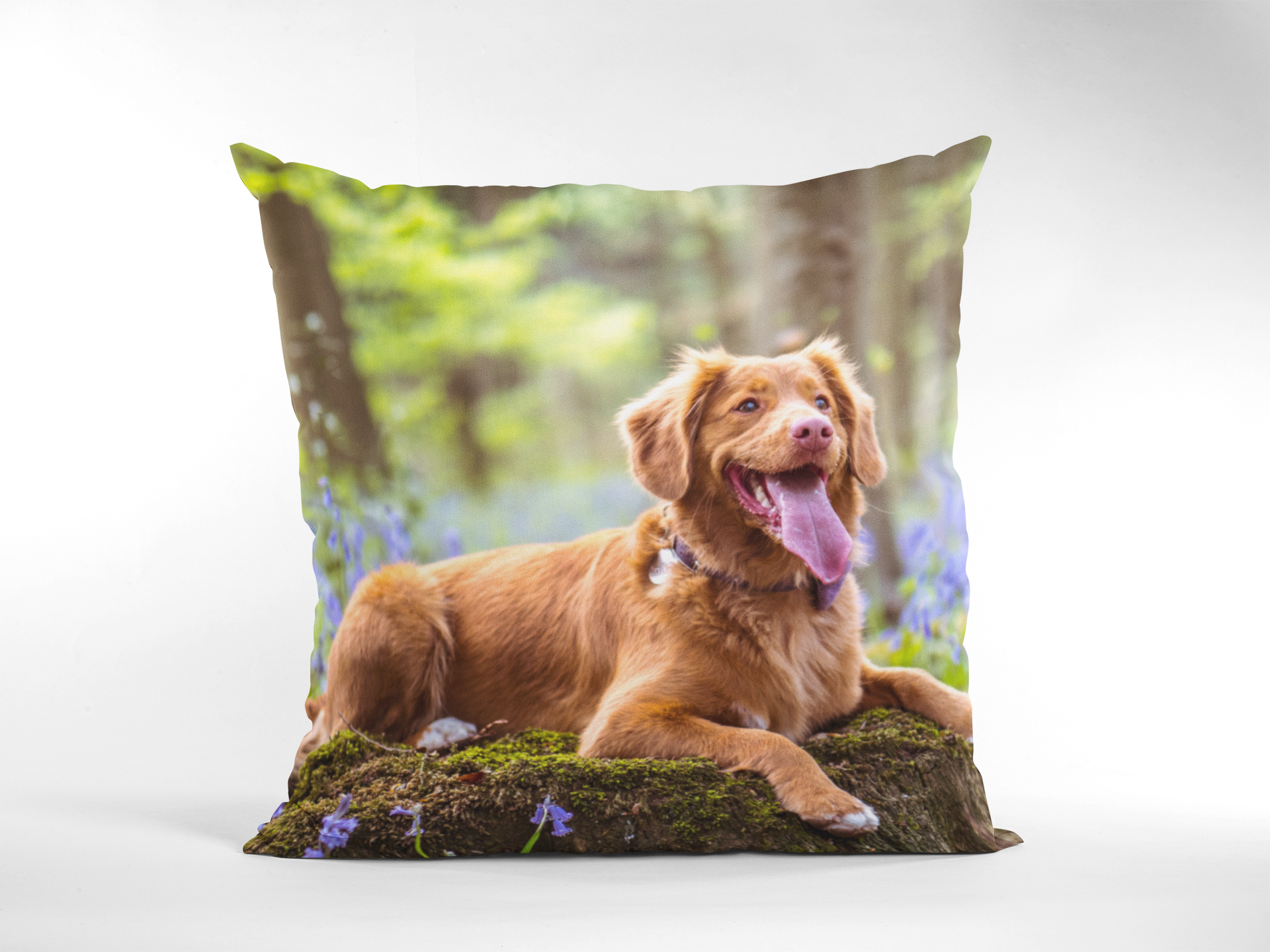 Photo Upload Cushion