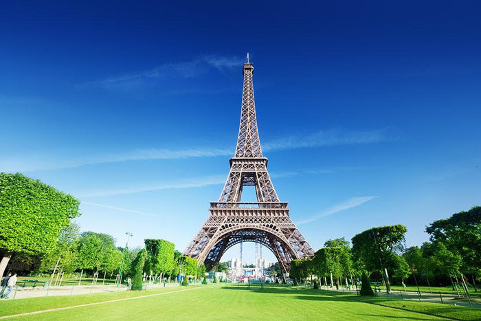 sunny morning and Eiffel Tower Wall Mural Wallpaper