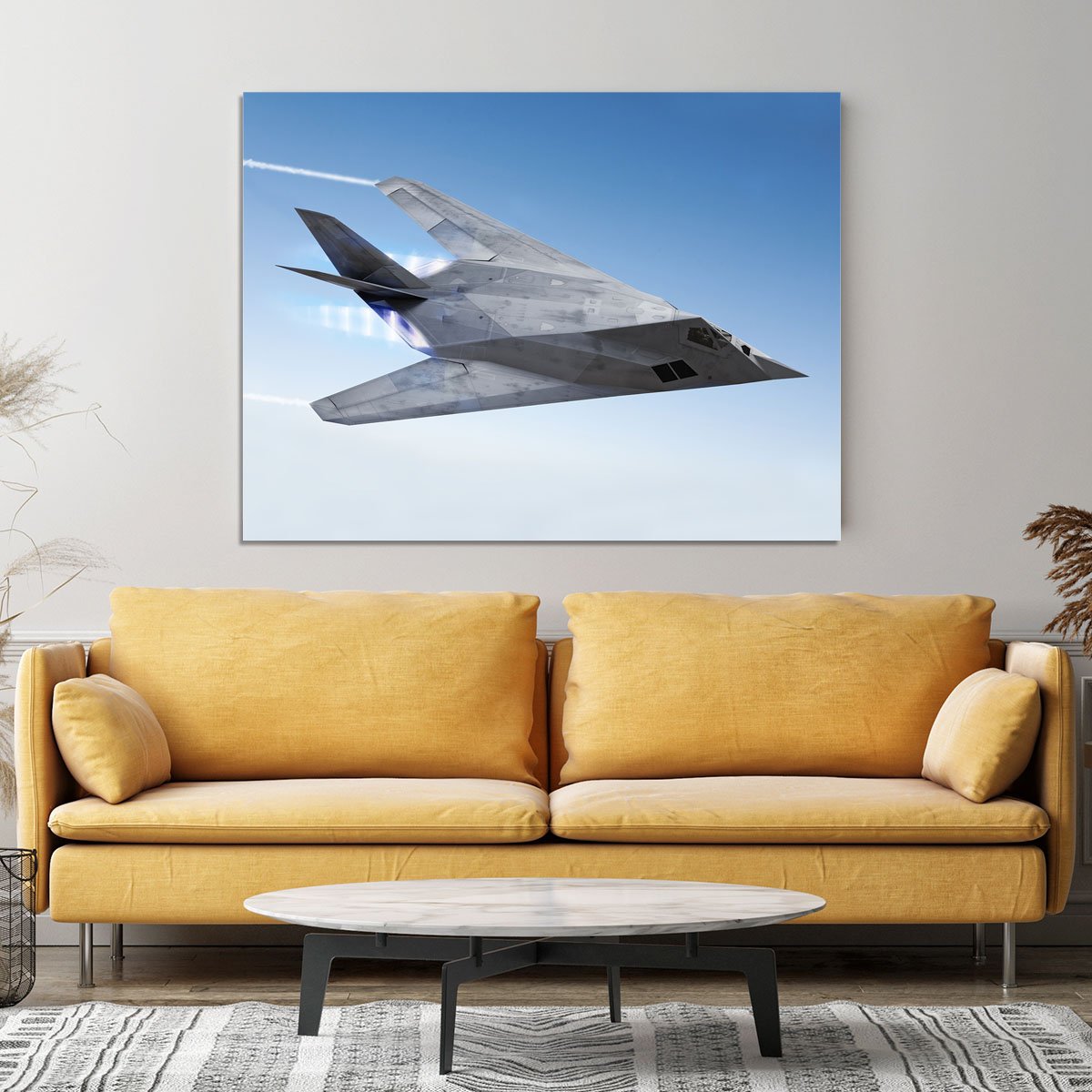 tealth aircraft streaking through the sky Canvas Print or Poster