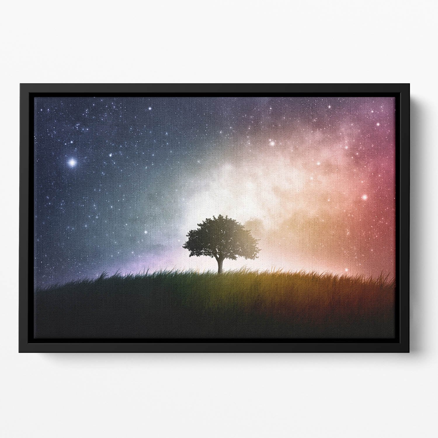 tree in a field with beautiful space background Floating Framed Canvas