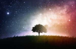 tree in a field with beautiful space background Wall Mural Wallpaper - Canvas Art Rocks - 1