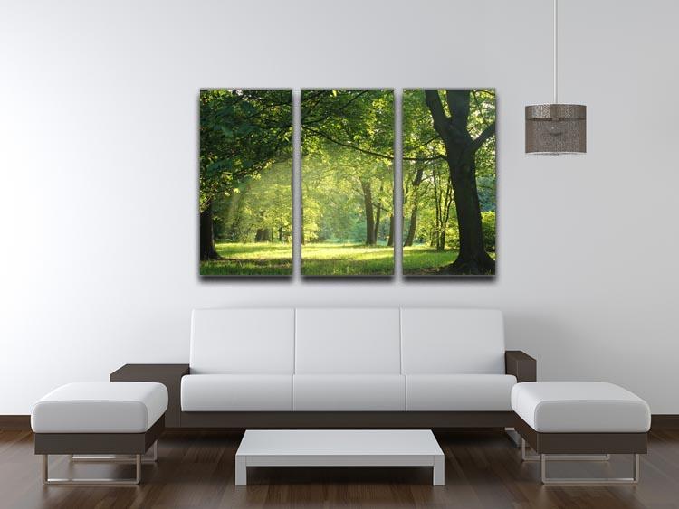 trees in a summer forest 3 Split Panel Canvas Print - Canvas Art Rocks - 3