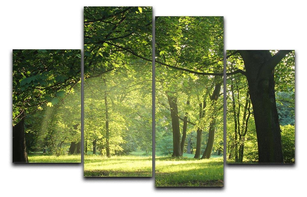 trees in a summer forest 4 Split Panel Canvas  - Canvas Art Rocks - 1