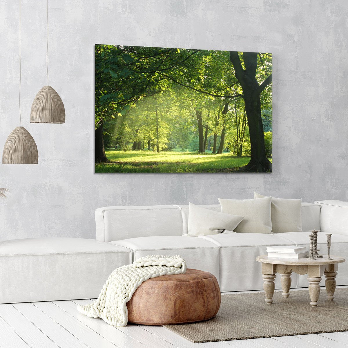 trees in a summer forest Canvas Print or Poster