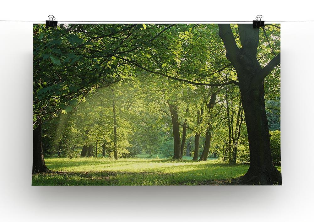 trees in a summer forest Canvas Print or Poster - Canvas Art Rocks - 2