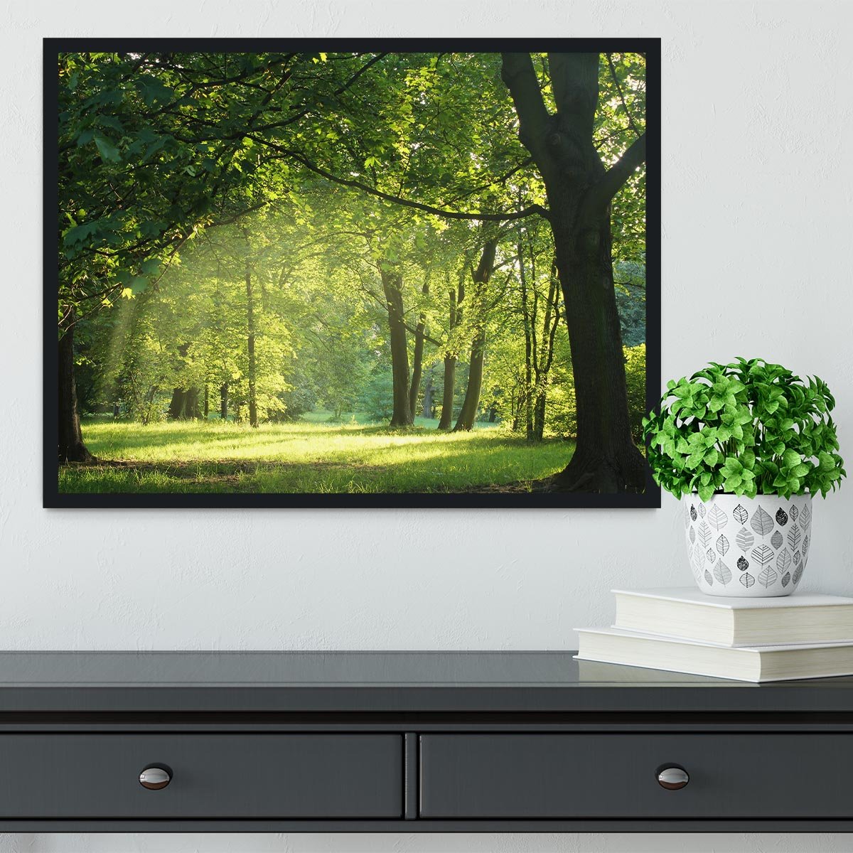 trees in a summer forest Framed Print - Canvas Art Rocks - 2