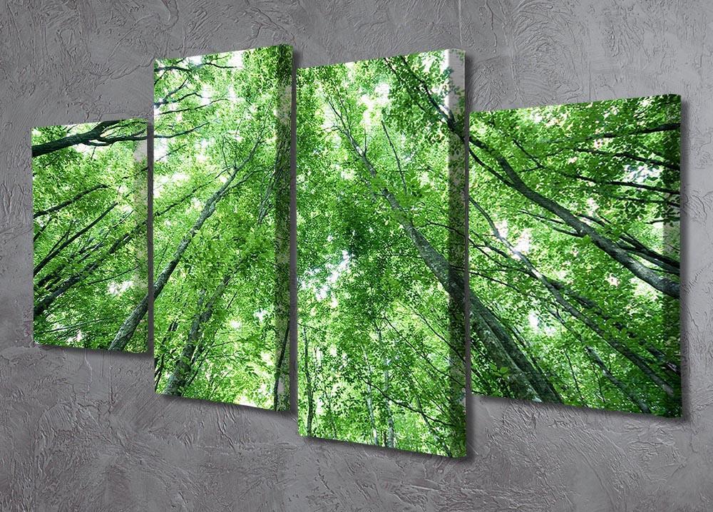 trees meeting eachother at the sky 4 Split Panel Canvas  - Canvas Art Rocks - 2
