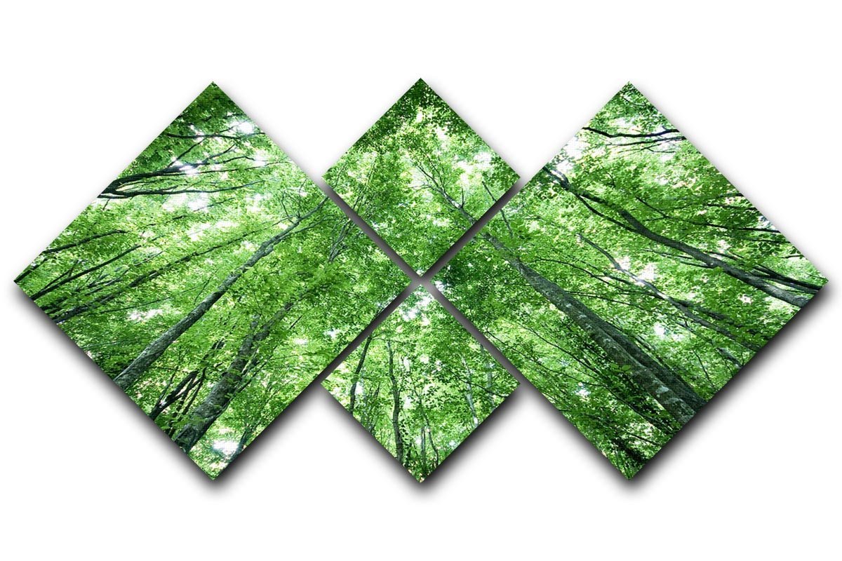 trees meeting eachother at the sky 4 Square Multi Panel Canvas  - Canvas Art Rocks - 1