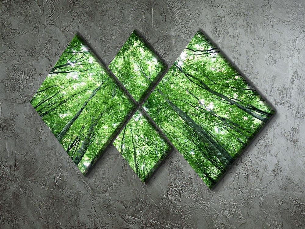 trees meeting eachother at the sky 4 Square Multi Panel Canvas  - Canvas Art Rocks - 2