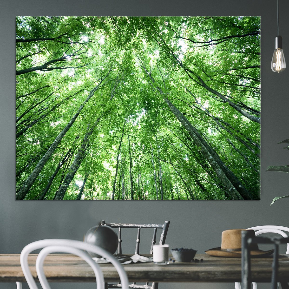 trees meeting eachother at the sky Canvas Print or Poster