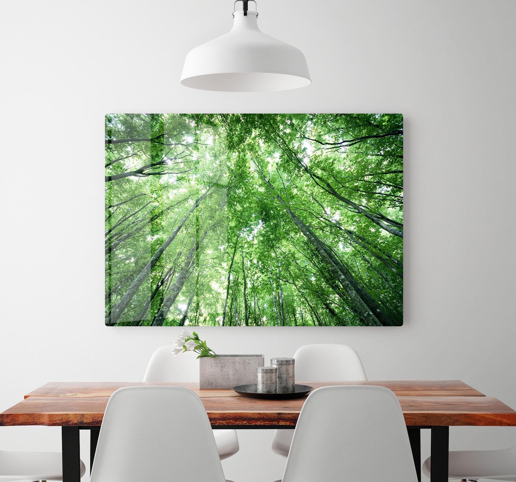 trees meeting eachother at the sky HD Metal Print