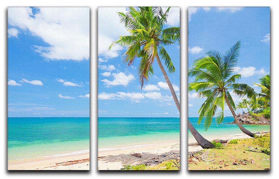 tropical beach with coconut palm 3 Split Panel Canvas Print - Canvas Art Rocks - 1