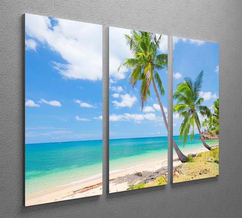 tropical beach with coconut palm 3 Split Panel Canvas Print - Canvas Art Rocks - 2