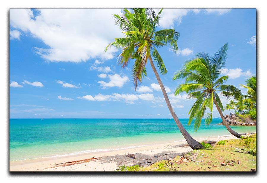 tropical beach with coconut palm Canvas Print or Poster - Canvas Art Rocks - 1