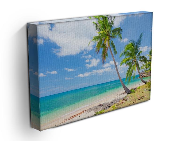 tropical beach with coconut palm Canvas Print or Poster - Canvas Art Rocks - 3