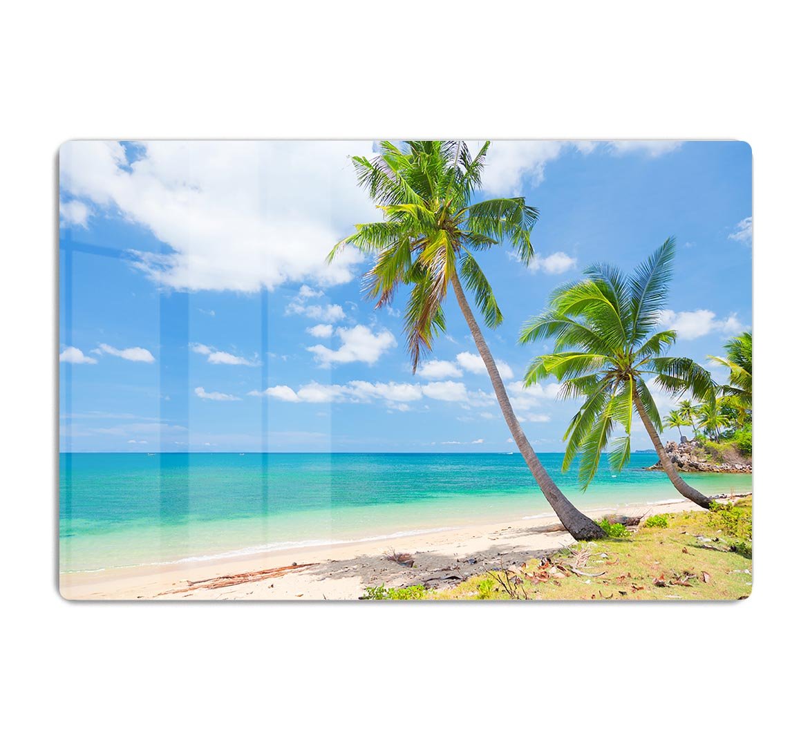 tropical beach with coconut palm HD Metal Print - Canvas Art Rocks - 1