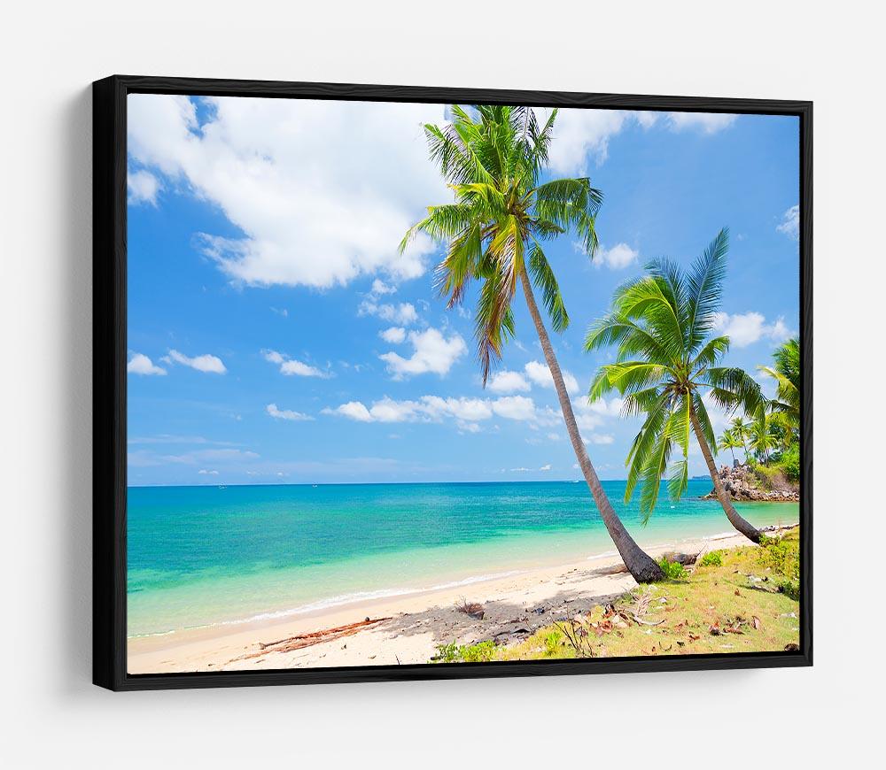 tropical beach with coconut palm HD Metal Print - Canvas Art Rocks - 6