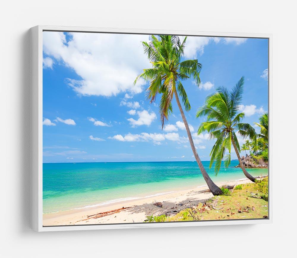 tropical beach with coconut palm HD Metal Print - Canvas Art Rocks - 7