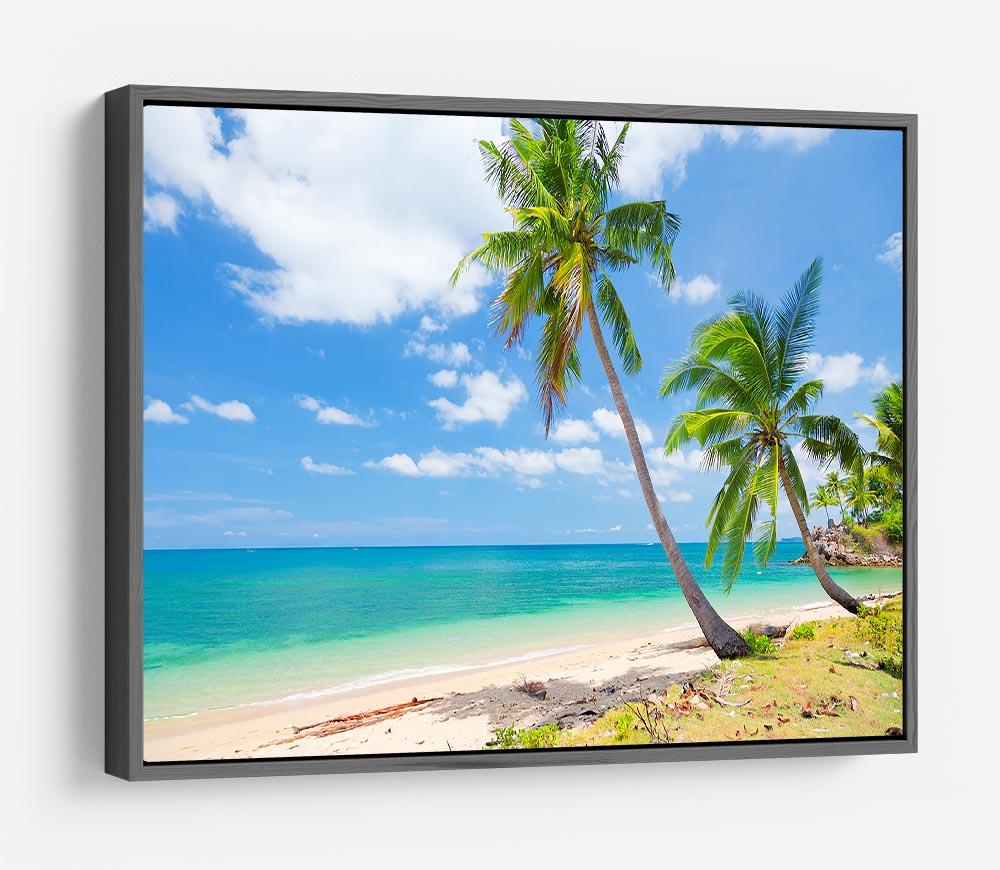 tropical beach with coconut palm HD Metal Print - Canvas Art Rocks - 9