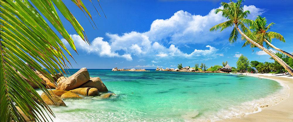 tropical paradise Wall Mural Wallpaper - Canvas Art Rocks - 1