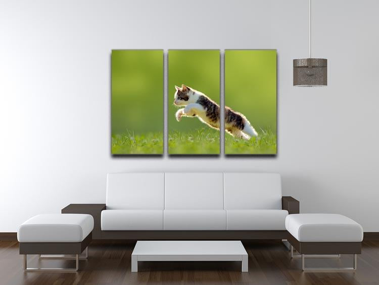 young cat jumps over a meadow in the backlit 3 Split Panel Canvas Print - Canvas Art Rocks - 3