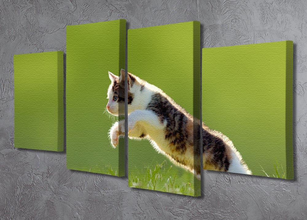 young cat jumps over a meadow in the backlit 4 Split Panel Canvas - Canvas Art Rocks - 2