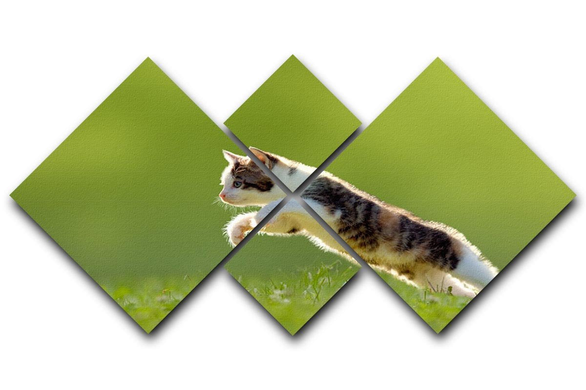 young cat jumps over a meadow in the backlit 4 Square Multi Panel Canvas - Canvas Art Rocks - 1