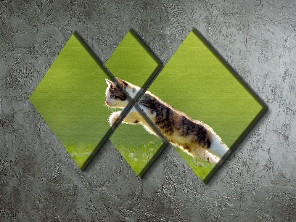 young cat jumps over a meadow in the backlit 4 Square Multi Panel Canvas - Canvas Art Rocks - 2