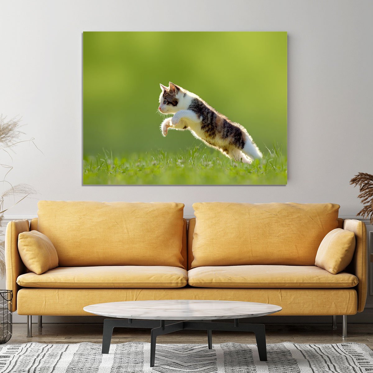 young cat jumps over a meadow in the backlit Canvas Print or Poster