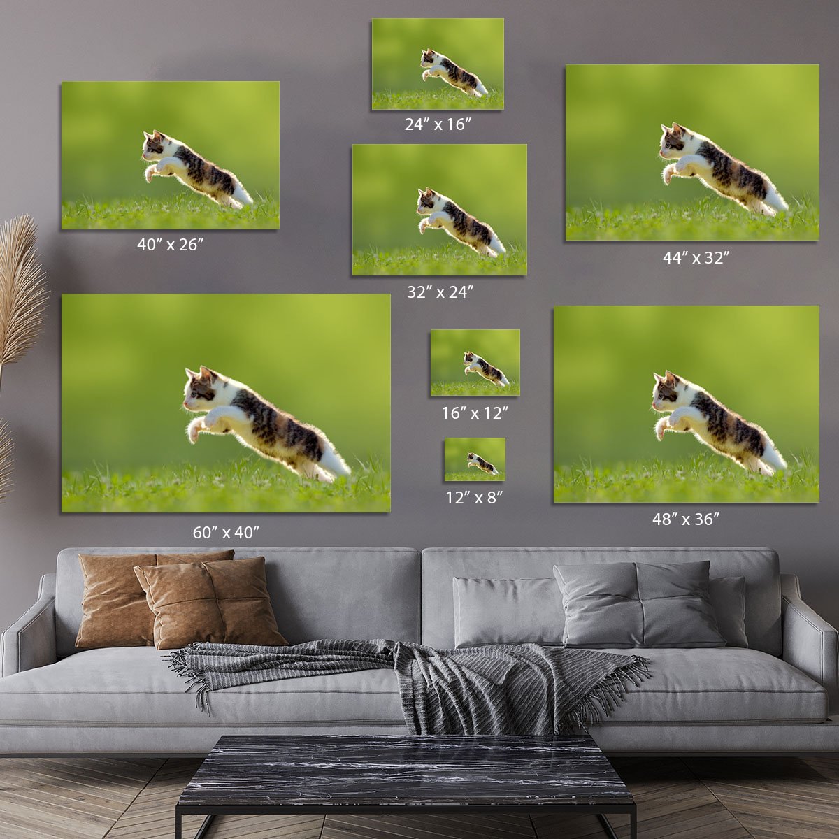young cat jumps over a meadow in the backlit Canvas Print or Poster