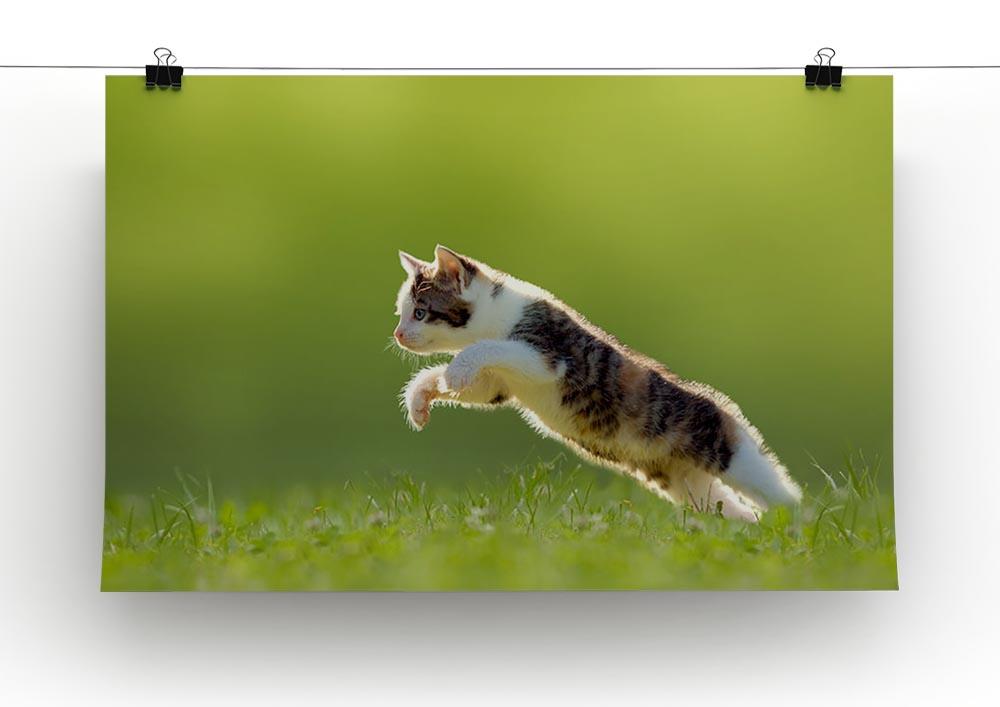 young cat jumps over a meadow in the backlit Canvas Print or Poster - Canvas Art Rocks - 2