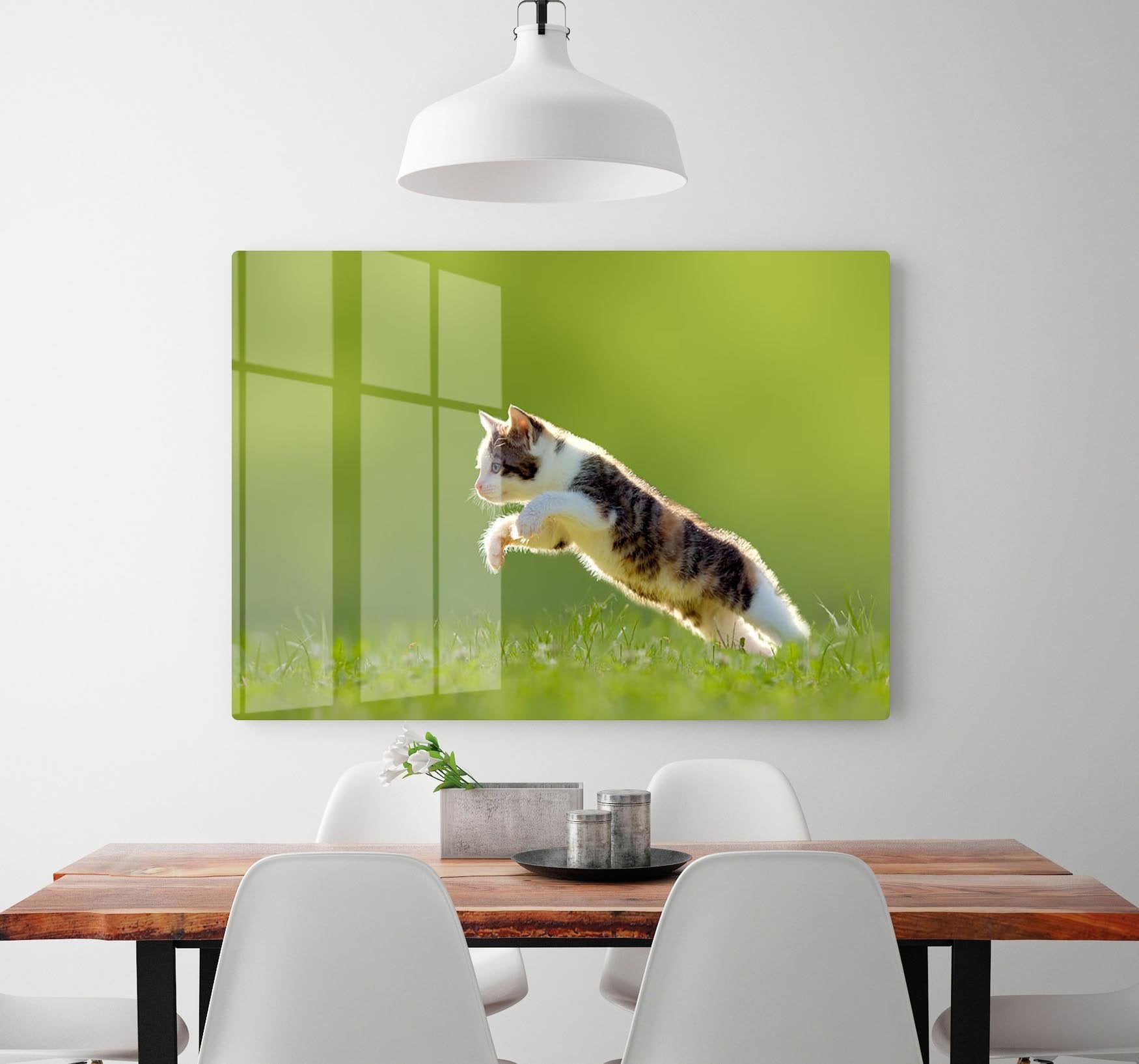 young cat jumps over a meadow in the backlit HD Metal Print - Canvas Art Rocks - 2